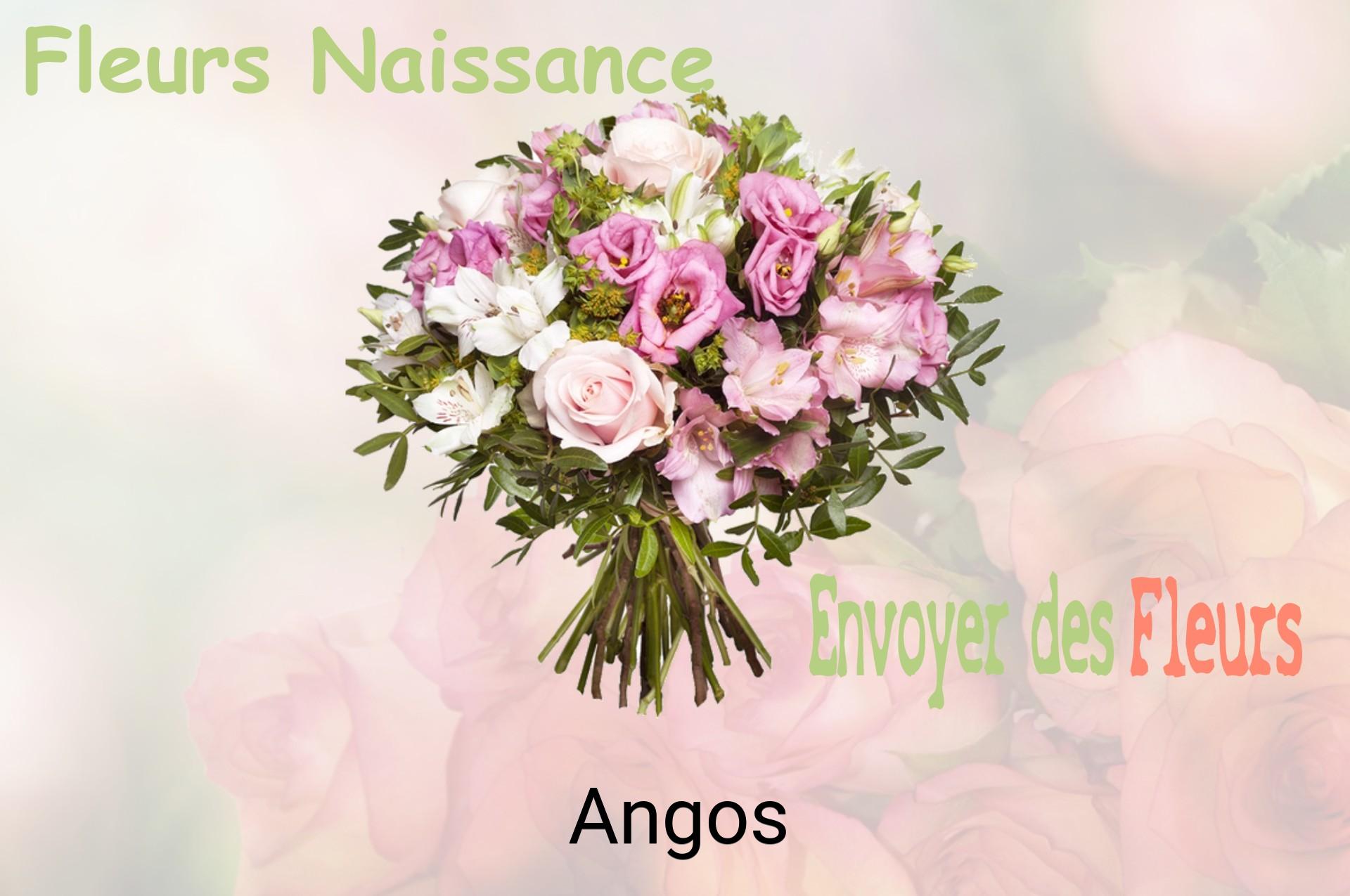 Bouquet de fleurs de naissance livré à Angos